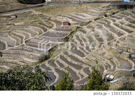 丸山千枚田(3月中旬) 丸山千枚田(3月中旬) 138372033