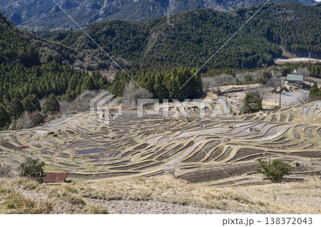 丸山千枚田（3月中旬） 138372043