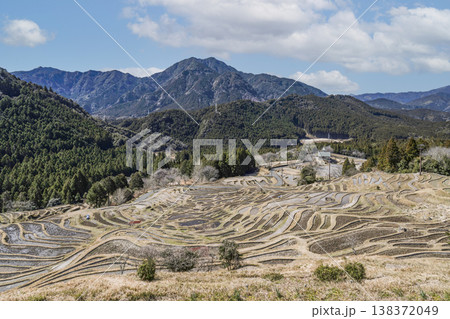 丸山千枚田（3月中旬） 138372049