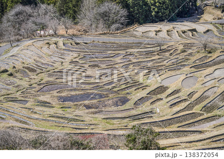 丸山千枚田(3月中旬) 丸山千枚田(3月中旬) 138372054
