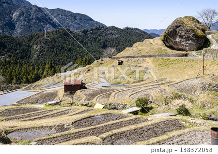 丸山千枚田（3月中旬） 138372058