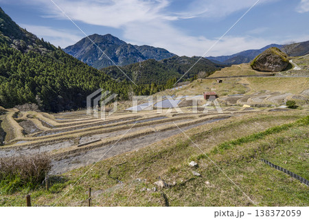 丸山千枚田（3月中旬） 138372059