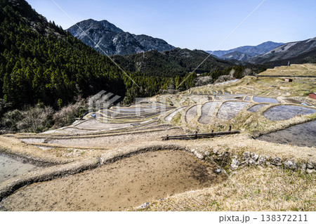 丸山千枚田（3月中旬） 138372211