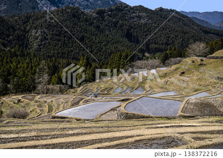 丸山千枚田（3月中旬） 138372216
