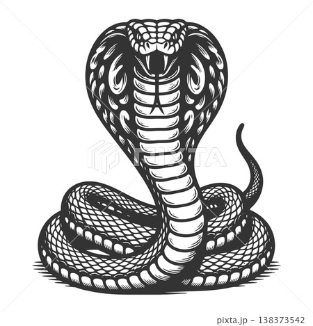 Cobra Snake With Hood Raised raster illustration Cobra Snake With Hood Raised raster illustration 138373542