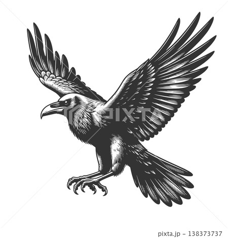 Flying Raven engraving sketch vector illustration Flying Raven engraving sketch vector illustration 138373737