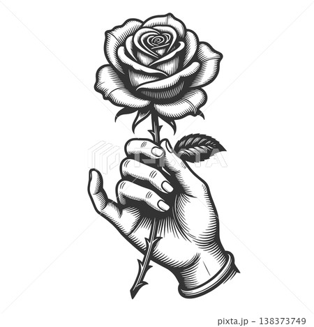 Hand Holding Rose Vintage Tattoo engraving vector Hand Holding Rose Vintage Tattoo engraving vector 138373749