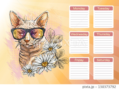 Sphynx cat with daisy flowers printable planner and school schedule vector Sphynx cat with daisy flowers printable planner and school schedule vector 138373792