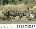 クロサイ クロサイ 138374587