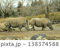 クロサイ クロサイ 138374588