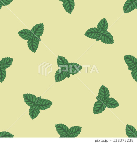 Mint leaf seamless pattern vector illustration. Hand drawn green peppermint for tea background. Organic herbal design for garden fabric ornament. Natural plant for kitchen wallpaper and textile. Mint leaf seamless pattern vector illustration. Hand drawn green peppermint for tea background. Organic herbal design for garden fabric ornament. Natural plant for kitchen wallpaper and textile. 138375239