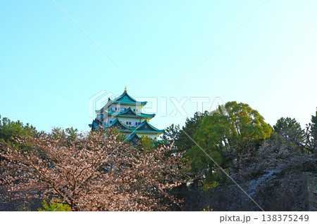 愛知県名古屋市、満開の桜と名古屋城の風景 愛知県名古屋市、満開の桜と名古屋城の風景 138375249