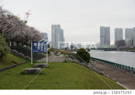 隅田川テラスの満開の桜とリバーサイドのタワーマンション群 隅田川テラスの満開の桜とリバーサイドのタワーマンション群 138375293