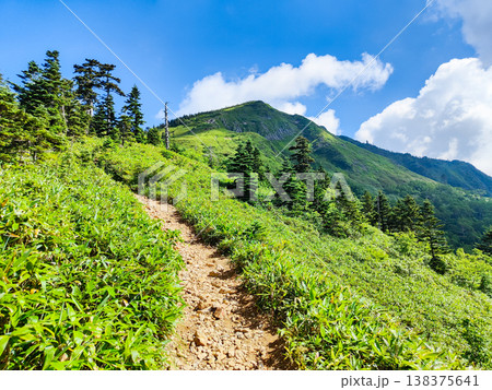 夏の岩菅山登山(ノッキリ~岩菅山山頂) 夏の岩菅山登山(ノッキリ~岩菅山山頂) 138375641