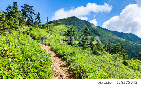 夏の岩菅山登山(ノッキリ~岩菅山山頂) 夏の岩菅山登山(ノッキリ~岩菅山山頂) 138375642