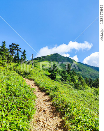 夏の岩菅山登山（ノッキリ～岩菅山山頂） 138375643