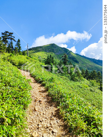 夏の岩菅山登山（ノッキリ～岩菅山山頂） 138375644