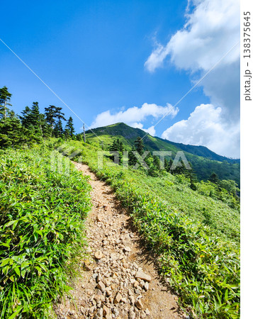 夏の岩菅山登山(ノッキリ~岩菅山山頂) 夏の岩菅山登山(ノッキリ~岩菅山山頂) 138375645