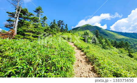 夏の岩菅山登山（ノッキリ～岩菅山山頂） 138375650