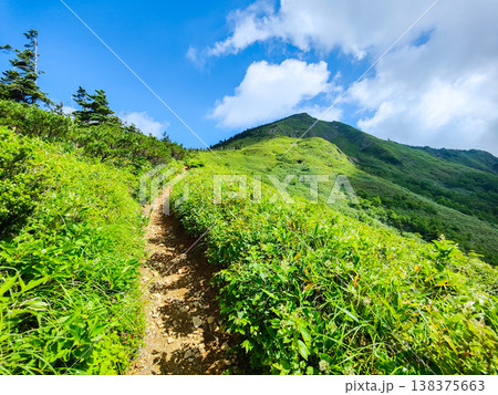 夏の岩菅山登山(ノッキリ~岩菅山山頂) 夏の岩菅山登山(ノッキリ~岩菅山山頂) 138375663