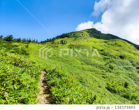 夏の岩菅山登山（ノッキリ～岩菅山山頂） 138375665