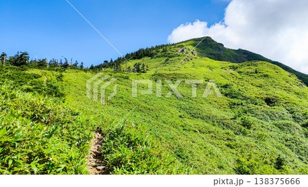 夏の岩菅山登山（ノッキリ～岩菅山山頂） 138375666