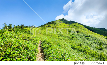夏の岩菅山登山（ノッキリ～岩菅山山頂） 138375671