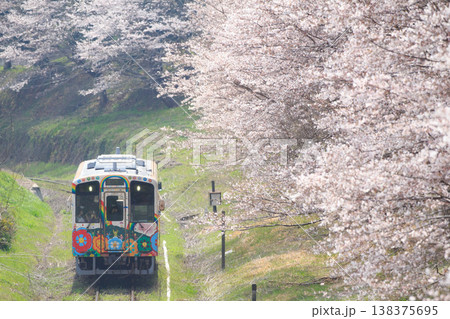 桜並木と「スーパーハッピー号」（平成筑豊鉄道） 138375695