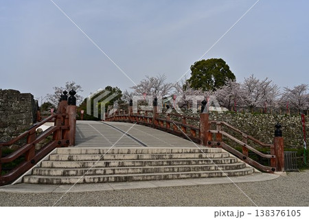 春の郡山城跡を彩る満開の桜 春の郡山城跡を彩る満開の桜 138376105