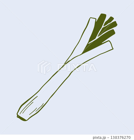 Hand drawn vector illustration of a long green leek with organic leaf texture. Minimalist line art icon of a healthy vegetable for farm market branding and cooking menu desig Hand drawn vector illustration of a long green leek with organic leaf texture. Minimalist line art icon of a healthy vegetable for farm market branding and cooking menu desig 138376270