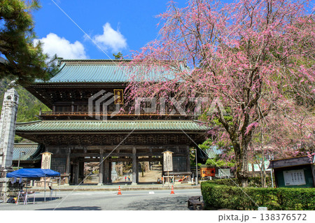 枝垂れ桜と三門 枝垂れ桜と三門 138376572