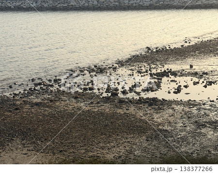 Rocky shoreline at low tide with calm water reflecting the golden hour light 138377266