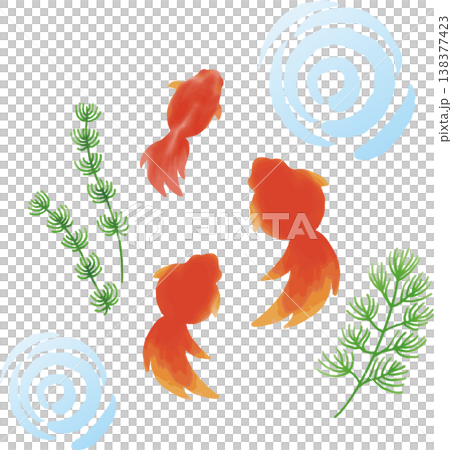 Watercolor-style illustration of goldfish and aquatic plants in summer - perfect for summer greetings and late summer greetings. Watercolor-style illustration of goldfish and aquatic plants in summer - perfect for summer greetings and late summer greetings. 138377423