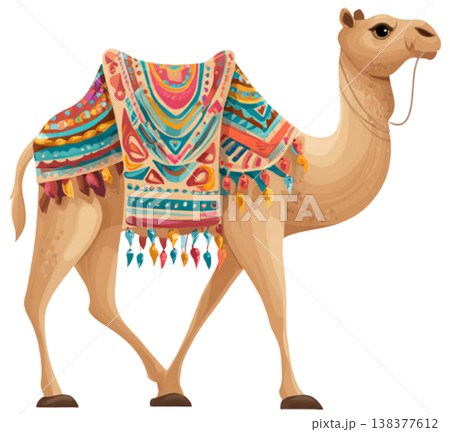 camel 138377612