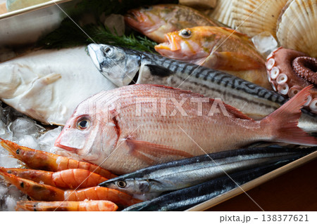 一般的な魚介類のイメージ(4) 一般的な魚介類のイメージ(4) 138377621