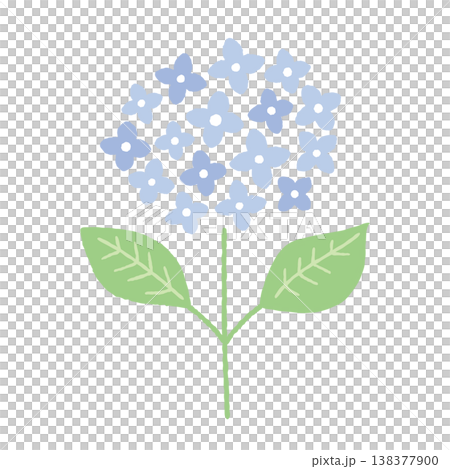 手繪繡球花插圖（無輪廓線） 138377900