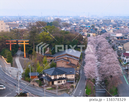 新河岸川沿いの満開の桜並木と氷川神社　埼玉県川越市（ドローンによる空撮） 138378329