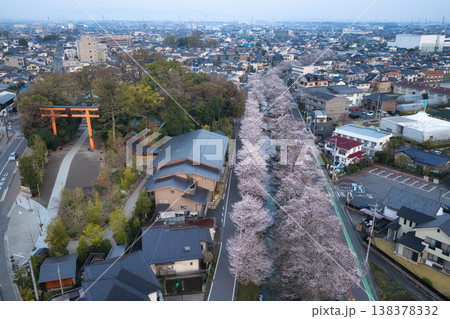 新河岸川沿いの満開の桜並木と氷川神社 埼玉県川越市(ドローンによる空撮) 新河岸川沿いの満開の桜並木と氷川神社 埼玉県川越市(ドローンによる空撮) 138378332