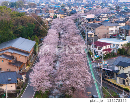 新河岸川沿いの満開の桜並木　埼玉県川越市（ドローンによる空撮） 138378333