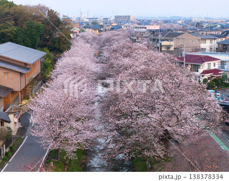新河岸川沿いの満開の桜並木　埼玉県川越市（ドローンによる空撮） 138378334