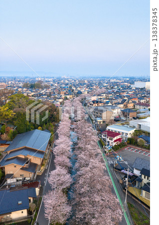 新河岸川沿いの満開の桜並木 埼玉県川越市(ドローンによる空撮) 新河岸川沿いの満開の桜並木 埼玉県川越市(ドローンによる空撮) 138378345