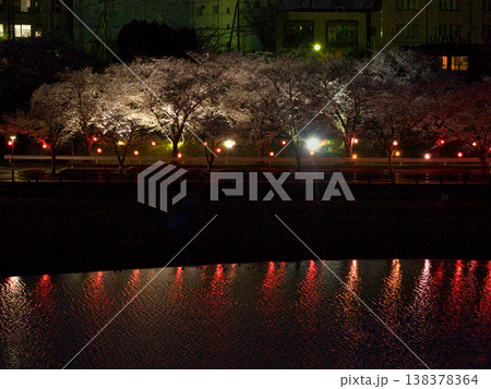満開の伊佐沼の夜桜　埼玉県川越市（ドローンによる空撮） 138378364