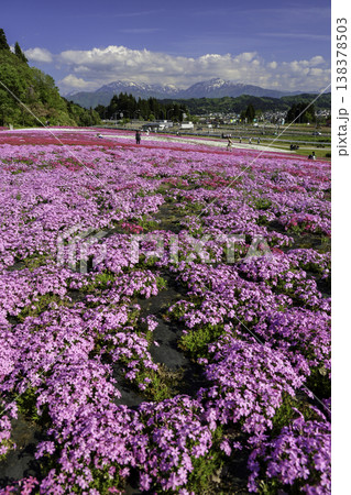芝桜と越後三山（縦） 138378503