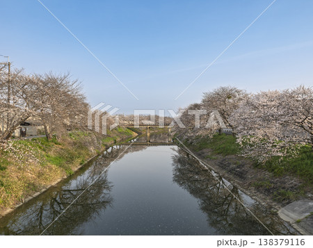 春の静寂。青空と満開間近の桜が映える川辺の風景 138379116