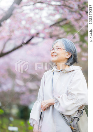 桜吹雪の桜の下で笑顔を見せる高齢女性の健康と幸せな春のイメージ お花見で桜を見上げるシニア女性 桜吹雪の桜の下で笑顔を見せる高齢女性の健康と幸せな春のイメージ お花見で桜を見上げるシニア女性 138379357