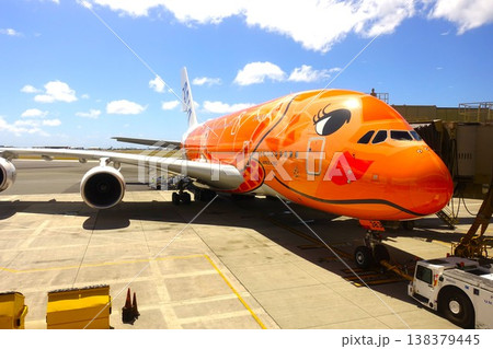 ハワイの空港で駐機中のフライングホヌ ハワイの空港で駐機中のフライングホヌ 138379445
