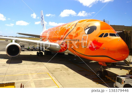ハワイの空港で駐機中のフライングホヌ ハワイの空港で駐機中のフライングホヌ 138379446