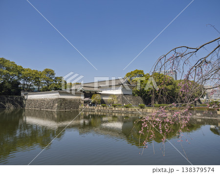 都会の杜、蕾膨らむお堀の春。 都会の杜、蕾膨らむお堀の春。 138379574