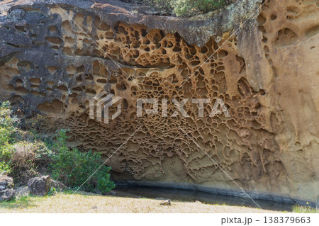 和歌山県：蜂の巣壁と水たまり【タフォニ】那智勝浦町 138379663