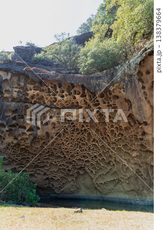 和歌山県：蜂の巣壁と水たまり【タフォニ】那智勝浦町 138379664